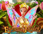 Enchanted Meadow